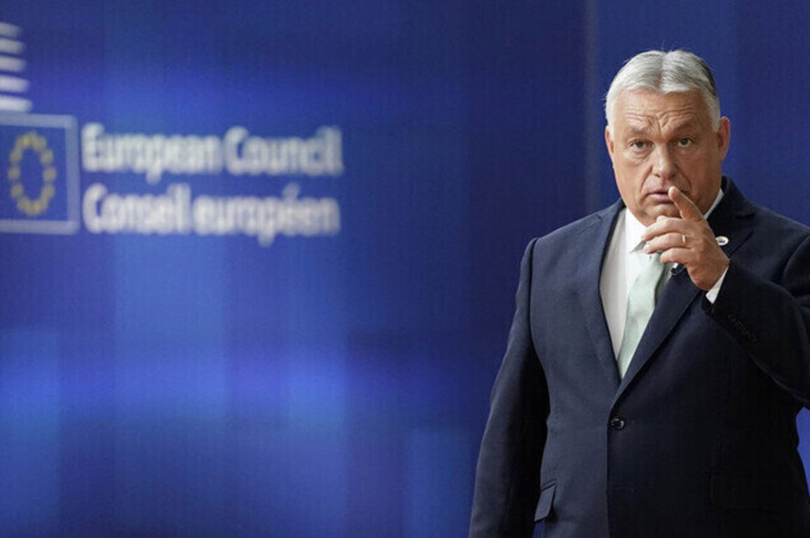 Europeans grandchildren would pay for new Ukraine loan  Orban