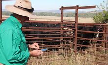 Producers are being encouraged to utilise artificial intelligence to fast-track research and data analysis. 
