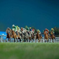 Abu Dhabi Turf Club features 16 races during 2025-2026 season