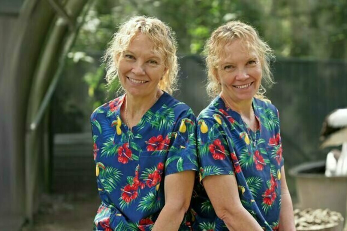 Genes, environment or a special bond? Why some twins talk and think in unison