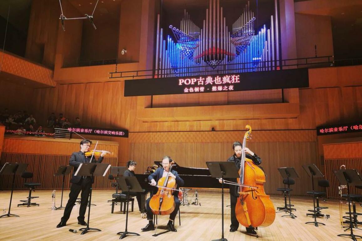 Taiwan violinist finds new home in Harbin through music