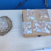CHINA-HAINAN-PEARL INDUSTRY (CN)