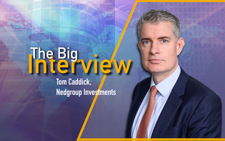 The Big Interview: Nedgroup Investments' Tom Caddick gives advice to managers setting up their own boutiques