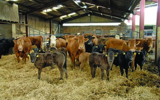 Could treating manure like silage transform your muck management?