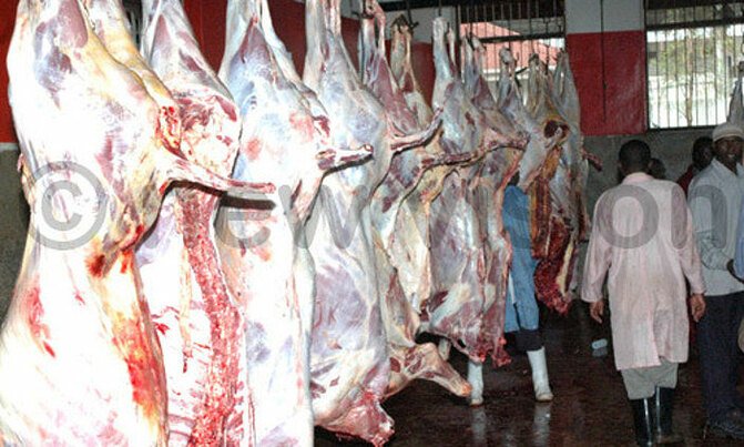 City abattoir not paying taxes City abattoir not paying taxes