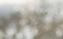 Dairy Talk - Dan Burdett: "It does show how easy it would be for a serving season to go badly wrong"