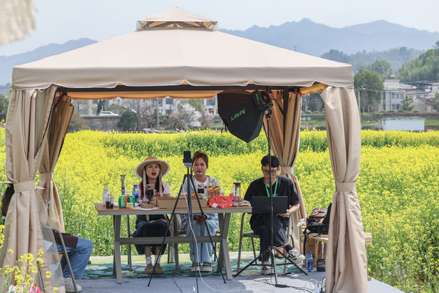 Beyond livestream: Can clicks become lasting careers for China's youth?