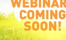 Watch out for webinars