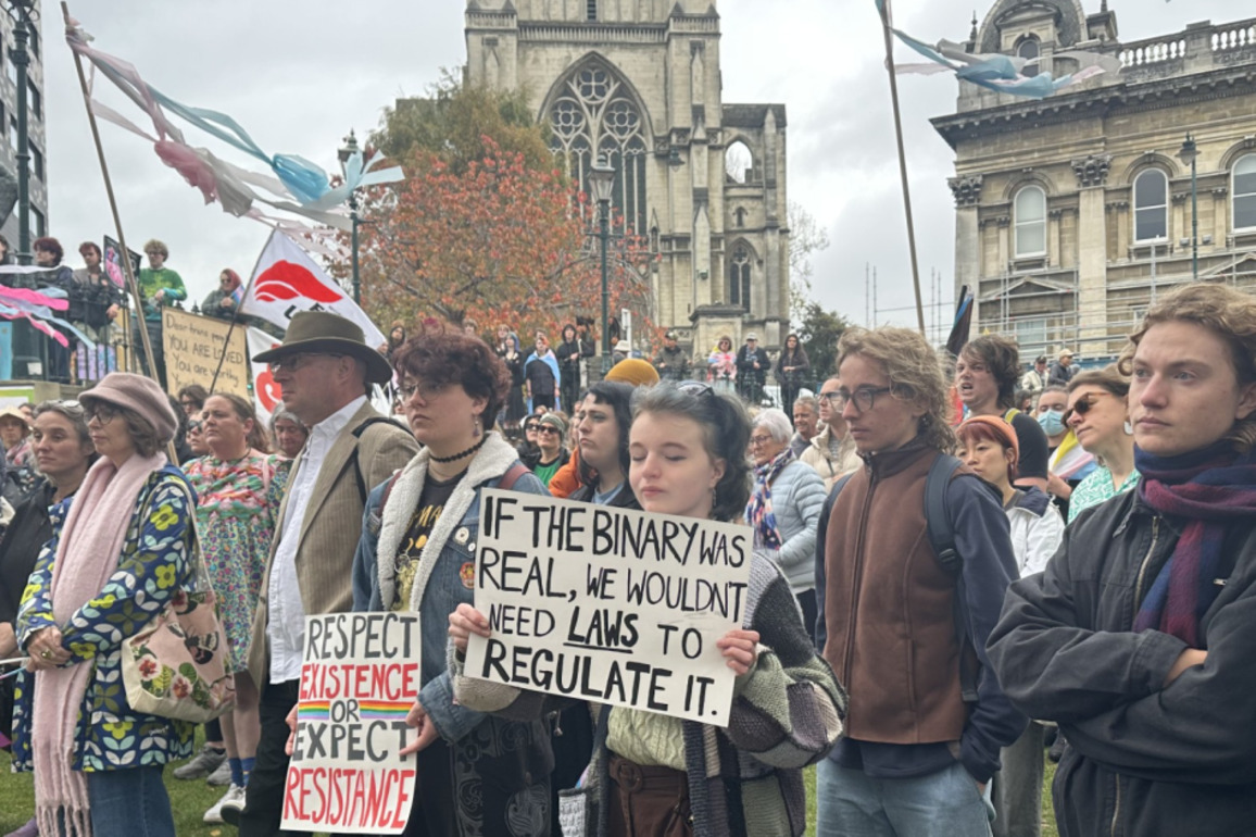 Hundreds gather in Dunedin for protest against proposed gender legislation