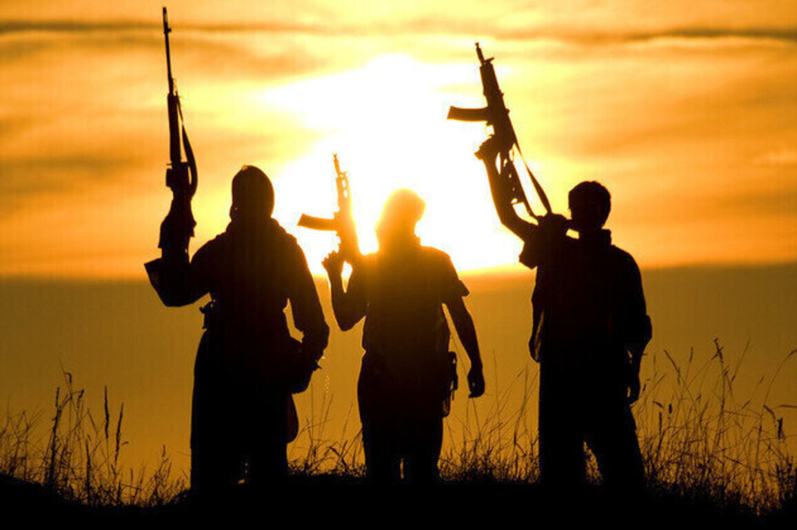Dozens dead after armed raids in Nigeria