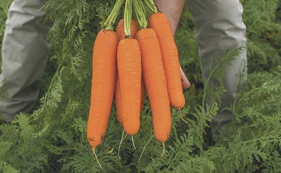 One in 10 children believe carrots originate in a supermarket, new research reveals