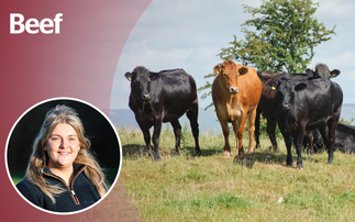 Opinion: "I came away from Beef Stock feeling optimistic about the next generation"