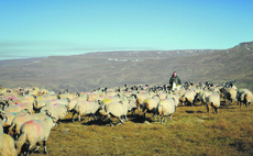 Scotland's Moredun Research Institute ramps up disease support for UK livestock farmers