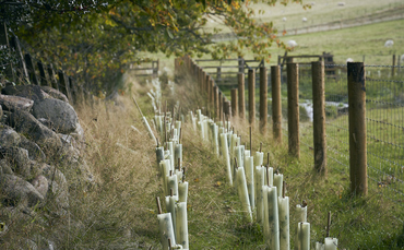 Defra launches 'new and improved' Sustainable Farming Incentive offer