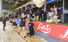 Countdown to Golden Shears at Royal Highland Show is on 