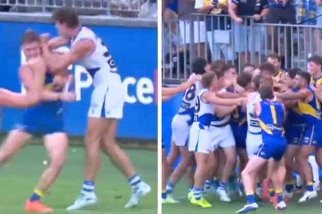 Dog act sparks massive melee between Eagles and Kangaroos