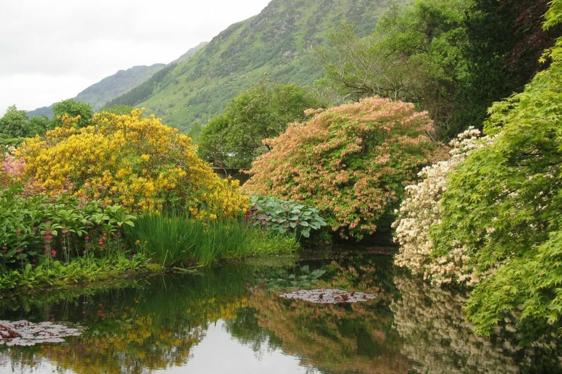 Scotland's top 10 spring gardens to visit from city gems to coastal paradises