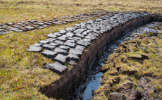 'In bogs, not bags': Wildlife Trusts urges consumers to root out 'hidden peat'