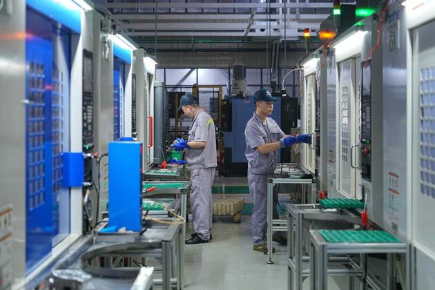 EconomyInFocus | Beibei District of Chongqing boosts private economy with new momentum