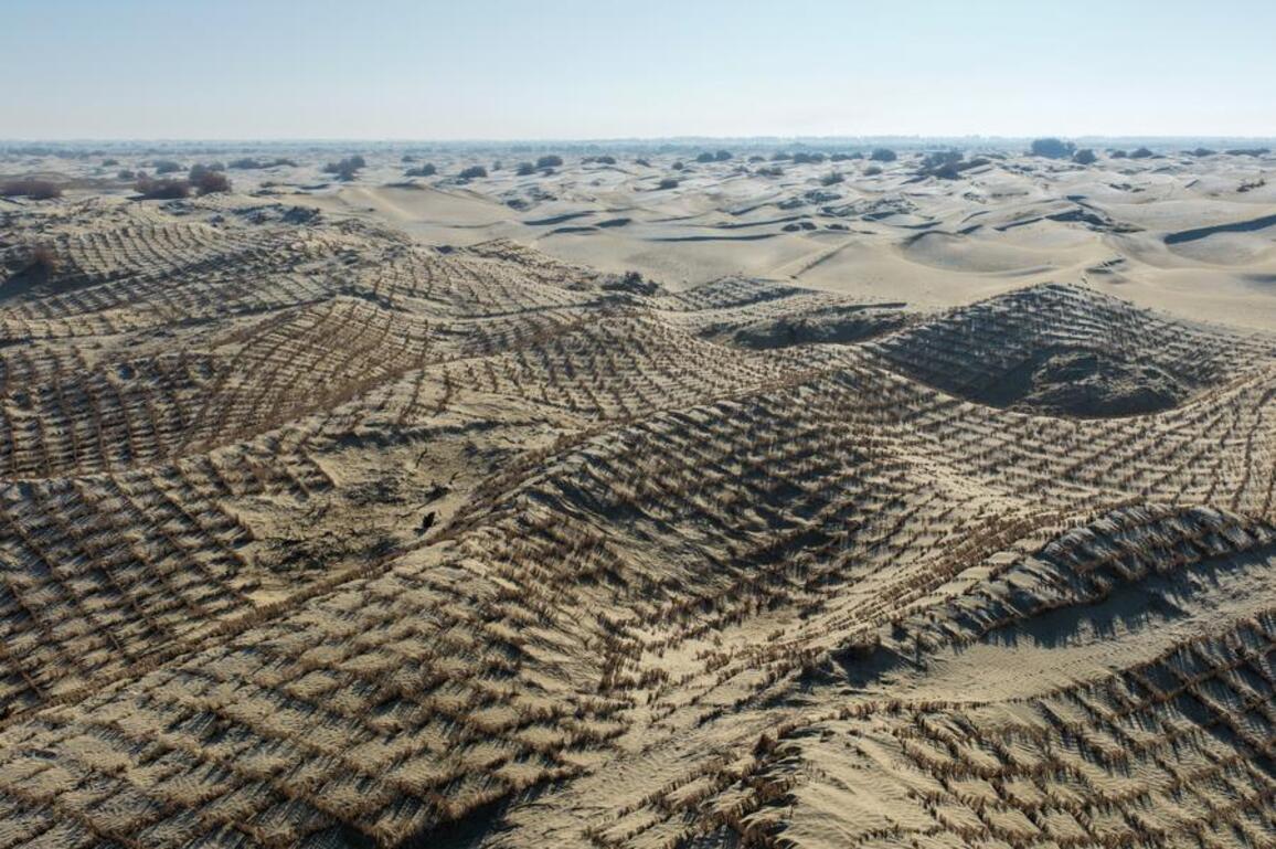 Winter desert control efforts continue in China's Taklimakan Desert