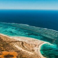 Synchronised bleaching: Ningaloo and the Great Barrier Reef are bleaching in unison for the first time