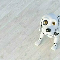 What is reinforcement learning? An AI researcher explains a key method of teaching machines - and how it relates to training your dog