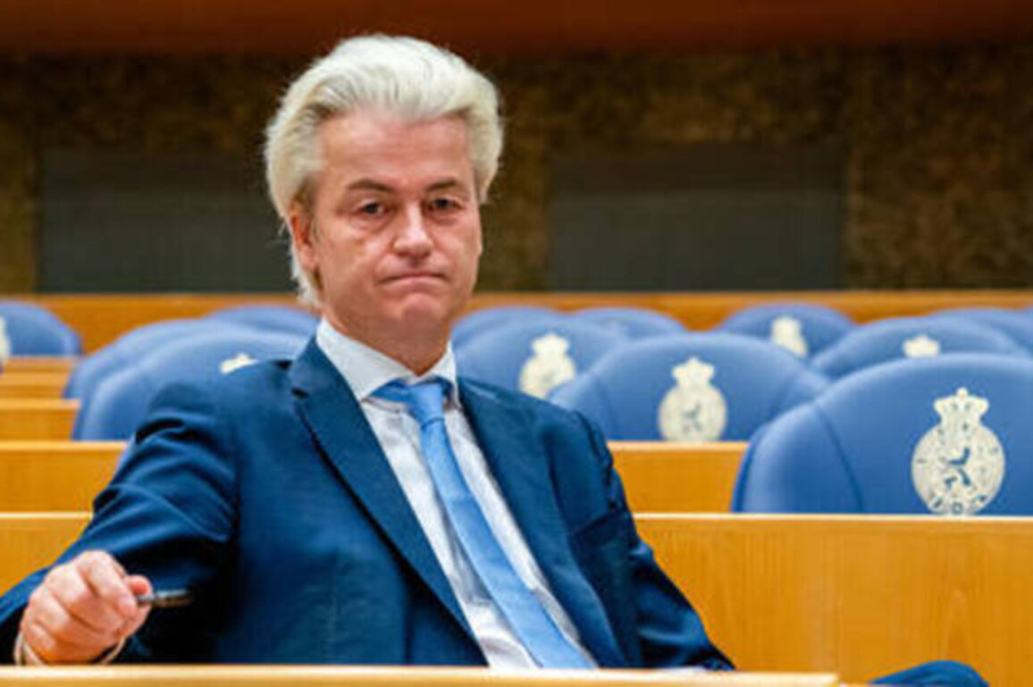 The EU's lab rats: The Dutch are about to test a virulent strain of modern politics