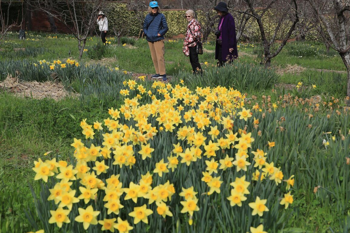 U.S.-CALIFORNIA-SAN FRANCISCO BAY AREA-SPRING SCENERY