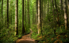 Study: Core Carbon Principle-labelled credits command 25 per cent price premium