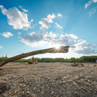 POLAND-WARSAW-VISTULA RIVER-RECORD-LOW WATER LEVEL