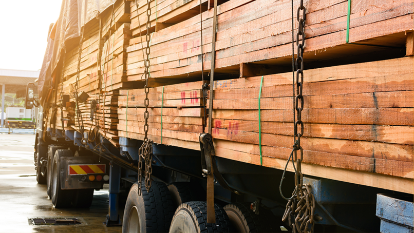 TTF launches free Due Diligence Toolkit for importing and exporting timber