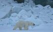Arctic ice melt better for Yamal LNG than polar bears
