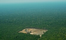  Floresta Amazônica 