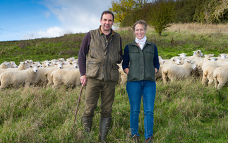 Farming in harmony with the environment brings economic benefits