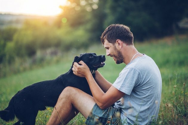 Coronavirus: Wash your hands after stroking your pet, say experts