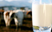 Sour response to milk pricing bill