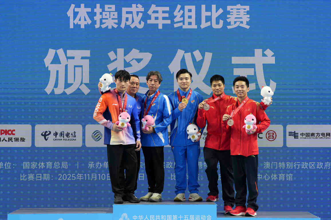 (SP)CHINA-15TH NATIONAL GAMES-ARTISTIC GYMNASTICS-MEN'S RINGS-FINAL (CN)