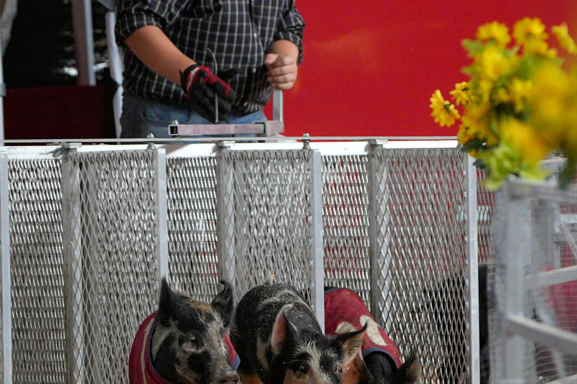 CANADA-VANCOUVER-PNE FAIR-AGRICULTURE SHOW