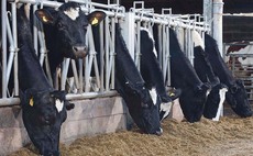 Covid-19 wipes £20m from dairy sector