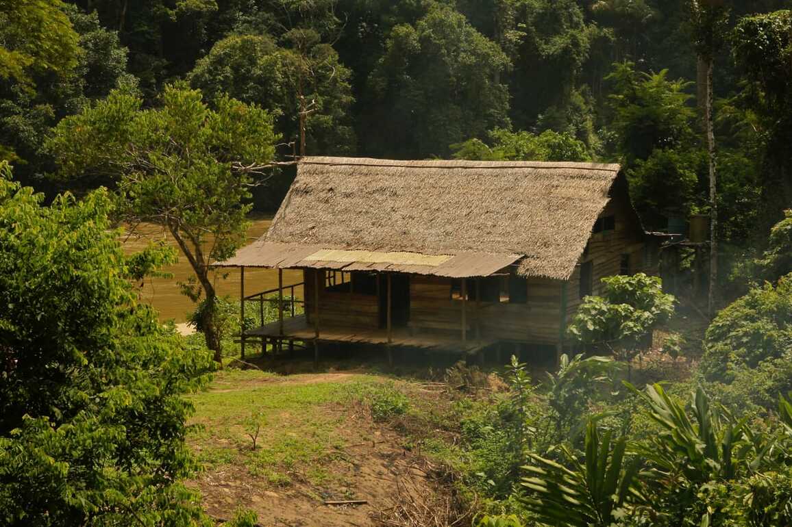 Taman Negara National Park, Malaysia - Photo of the Day - Havana Times