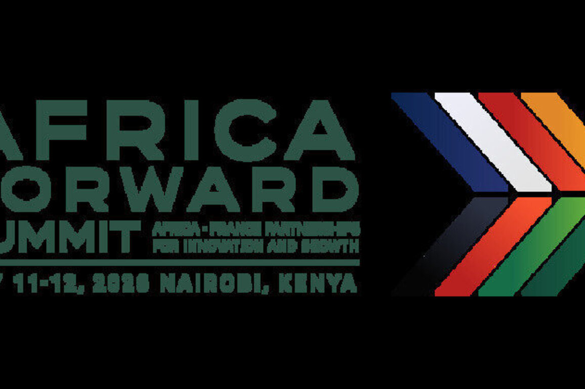Insights into Future Partnership between Africa and France