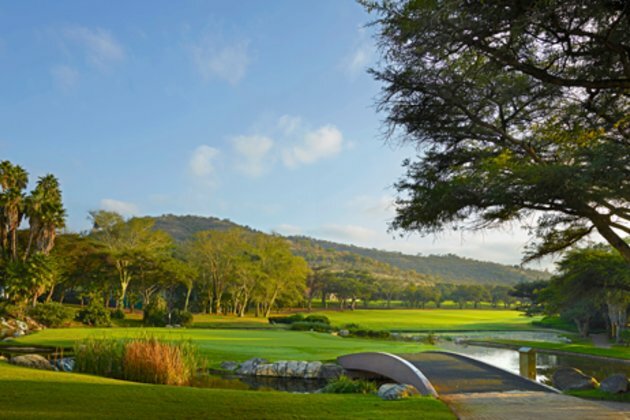 2020 Nedbank Golf Challenge cancelled due to coronavirus