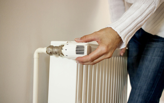 'Fuel poverty has flatlined': Government urged to deliver green home policy 'refresh'