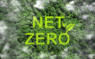 Many investment managers 'struggle' to gauge net-zero progress