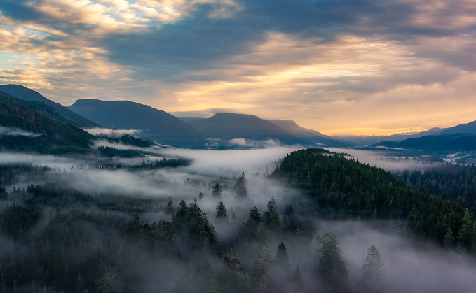 How should businesses choose a credible carbon credit project? 