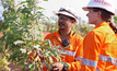 Sodexo will also provide integrated facilities management services at Weipa bauxite