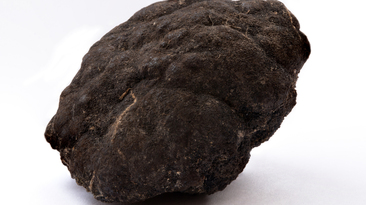 A polymetallic nodule from the Pacific Ocean