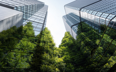 'The climate transition is underway': Business leaders acknowledge sustainability key to competitiveness