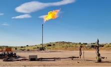 The Kiwi oil discovery is providing early cash flow for Bass Oil.