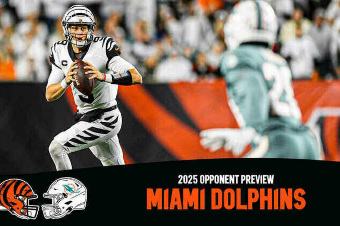 Bengals 2025 Opponent Preview: Miami Dolphins